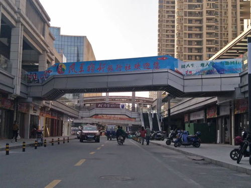 節日奮斗，風景獨好——廣信營業部盛大開業，多重優惠產品傾情上線