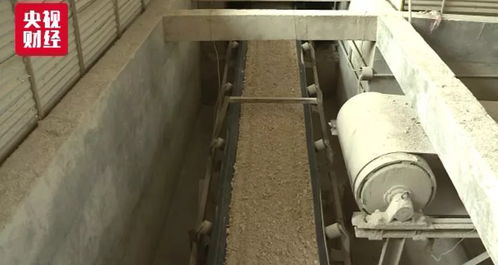 石家莊油價再調整，汽車“換口糧”背后的生物化工新動向